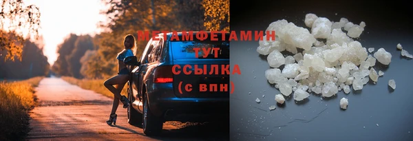 шишки Медногорск