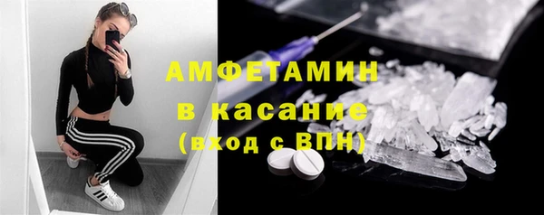 шишки Медногорск