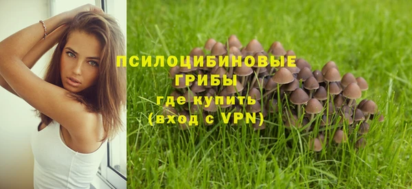 ALPHA-PVP Мегион