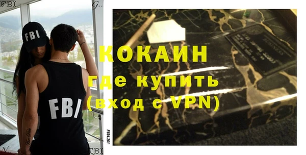 шишки Медногорск