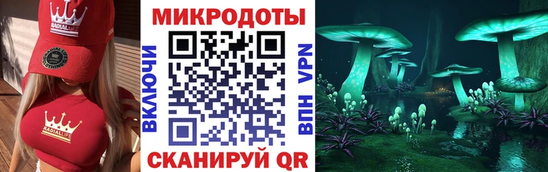 Псилоцибиновые грибы Cubensis  Мышкин 