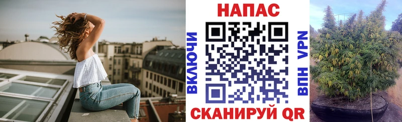 гидра как зайти  Мышкин  Каннабис гибрид 